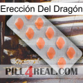 Erección Del Dragón 26